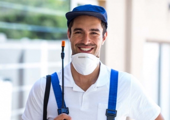 ابادة سوس الخشب بدون مغادرة المنزل