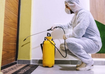 أفضل شركة متخصصة في ابادة البق