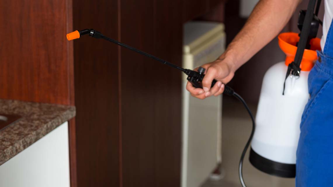 ابادة النمل