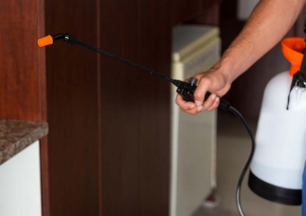 ابادة القراد نهائيًا بضمان 5 سنوات