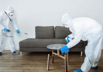 ابادة البعوض نهائيًأ باسعار تنافسية وضمان 5 سنوات