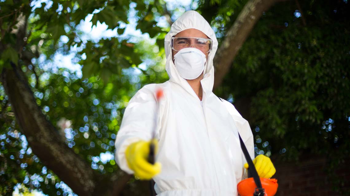 ابادة الهاموش بضمان 5 سنوات