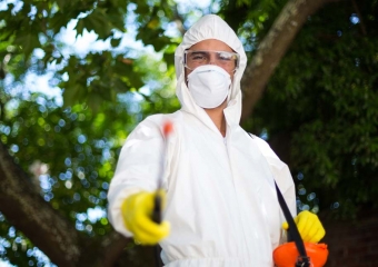 ابادة الهاموش بضمان 5 سنوات