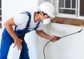 ابادة الذباب نهائيا دون مغادرتك المنزل