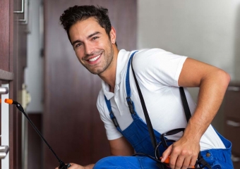 الشركة الأولى في ابادة الصراصير بمبيدات آمنة