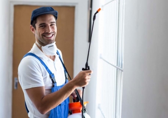 ابادة الفئران بضمان 5 سنوات 